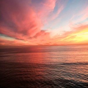 Meet your Posher, Bruce